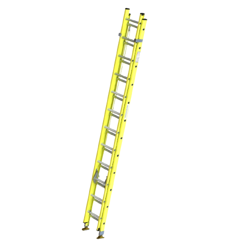 Youngman Extension Ladder and wall supported ladder
