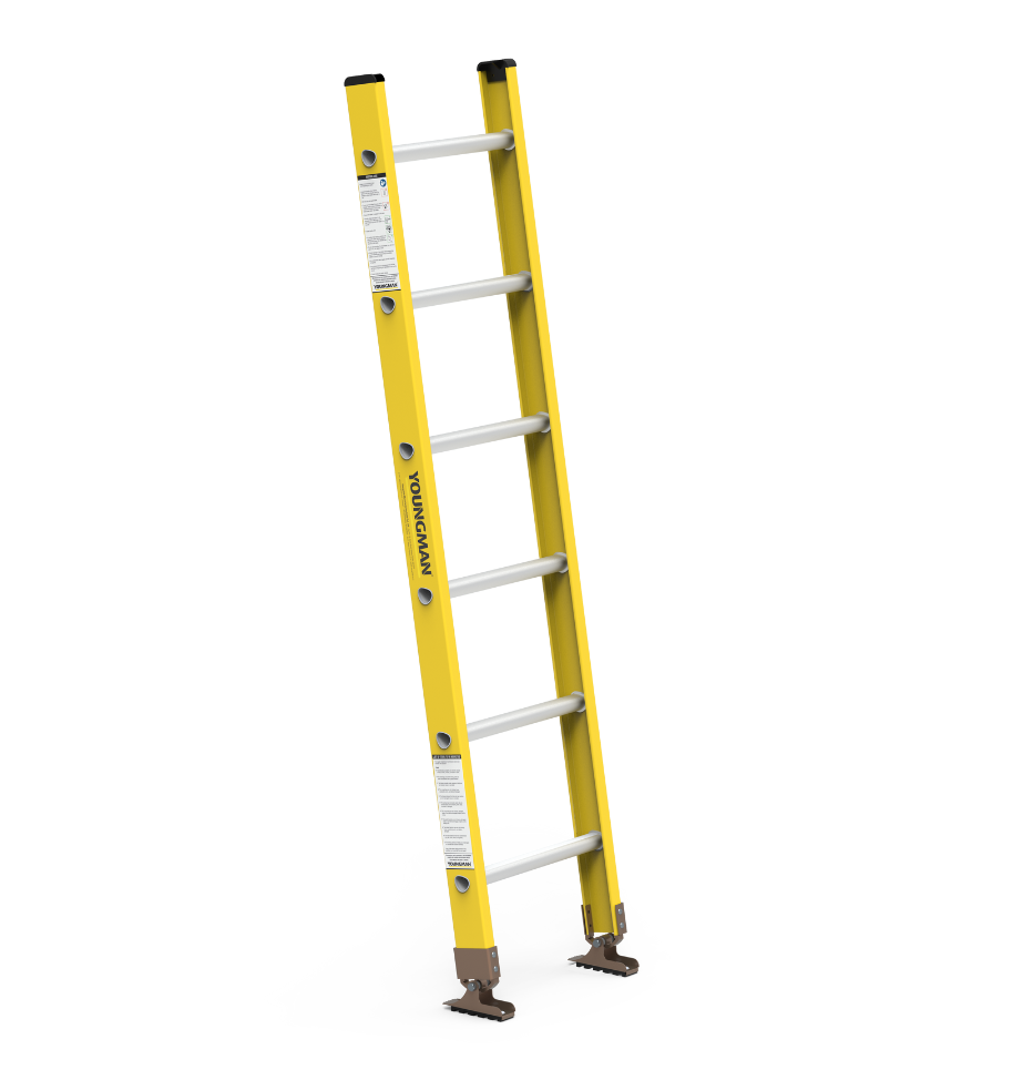 Youngman Straight Ladder and wall supported ladder