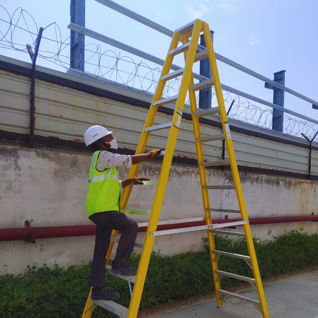 Youngman ladder inspection